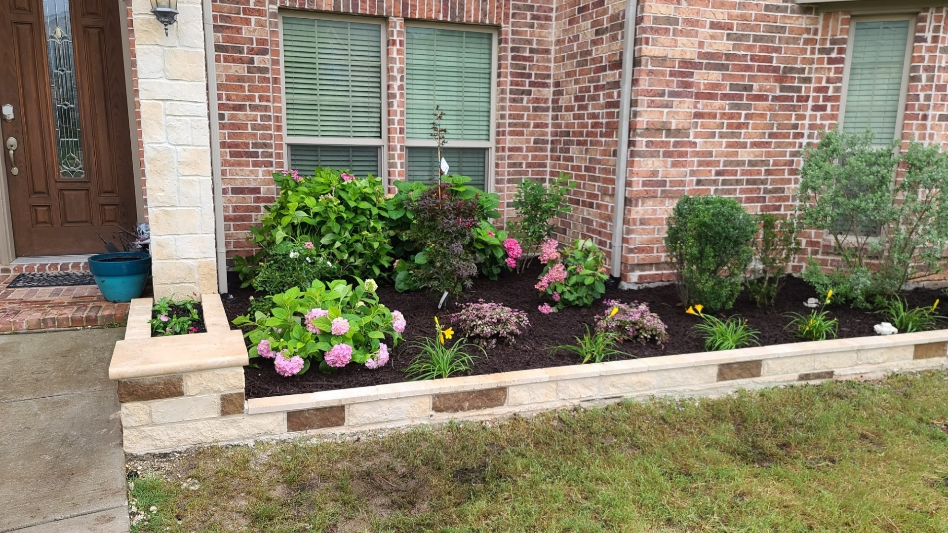 chopped-stone-foundation-bed-hydrangeas-black-mulch-plano-allen-tx
