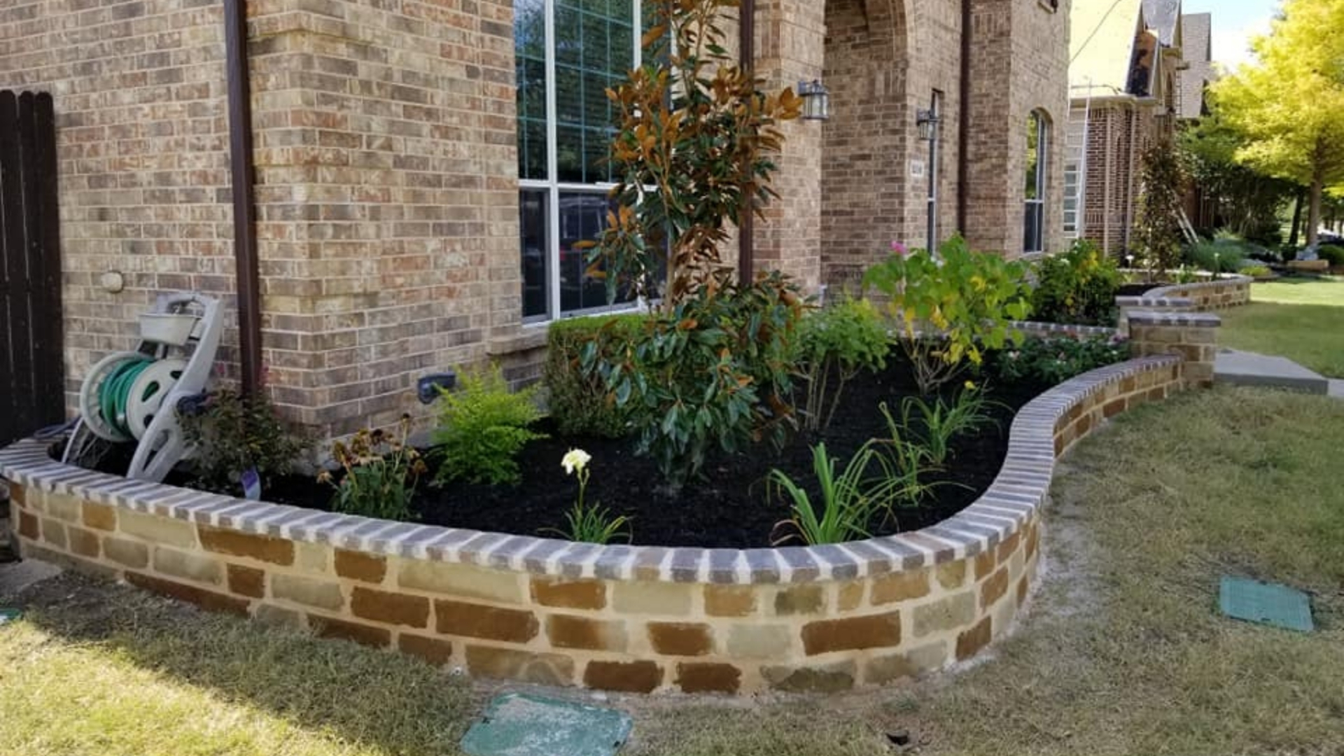 curved-brick-raised-planter-black-mulch-crepe-myrtle-prosper-frisco-tx